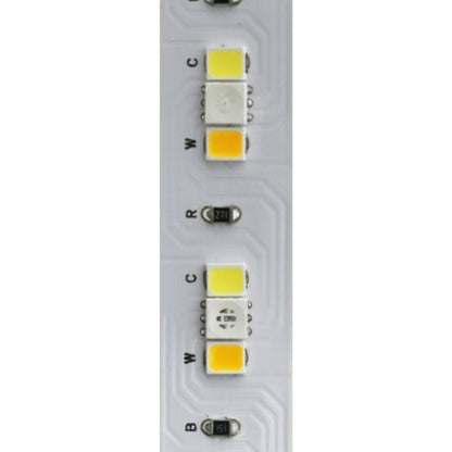 Fita LED 24V DC SMD2835+3535 Clasic IP20 RGB+CCT 60 LED/m - 5 Metros