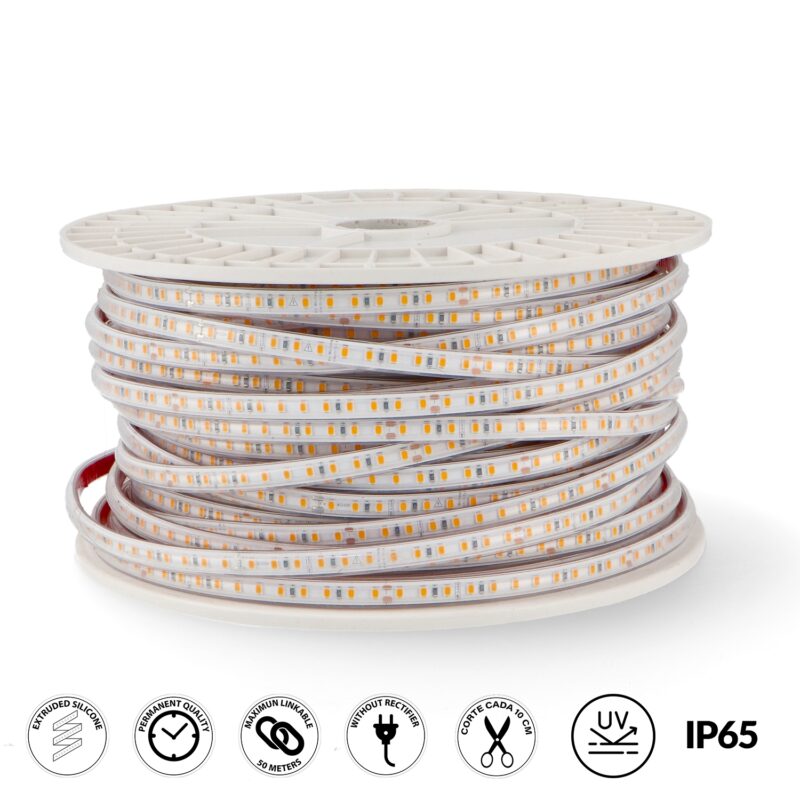 Fita LED Prostrip 12W - 50M